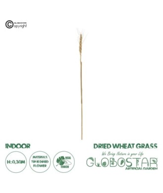 GloboStar® Artificial Garden REAL DRIED WHEAT GRASS 21488 Τεχνητό Διακοσμητικό Κλαδί Σιταριού Y30cm